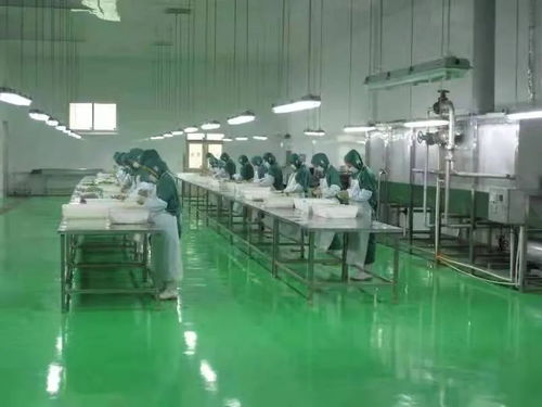 全國綠色蔬菜和有機農產品生產示范區的工程技術研究與試驗發展