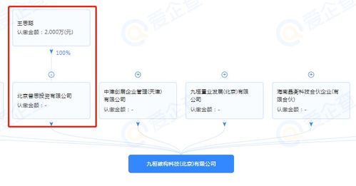 王思聰跨界布局，投資成立半導體制造公司引領技術新浪潮